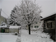 Walter 08.07.08-02.01.200992